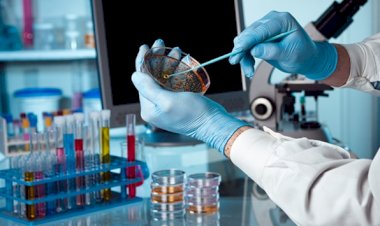 'Borla tedavi kanseri 18 ayda öldürüyor'