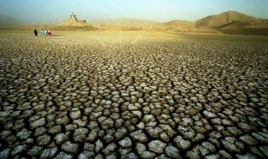 Kenya'da kuraklık nedeniyle çok sayıda kişi açlık tehdidi altında