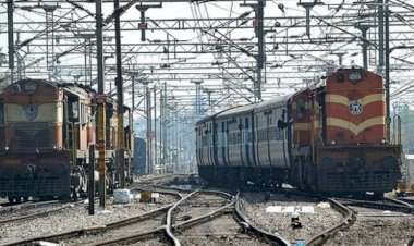 Hindistan’da demir yolu kazalarında 32 bini aşkın hayvan telef oldu