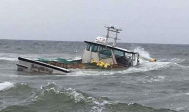 Honduras'ta balıkçı teknesi battı: 26 ölü