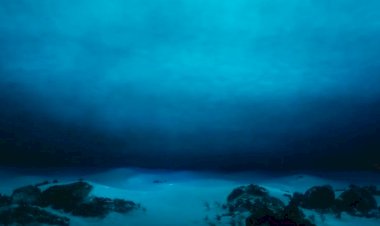 Atlantik okyanusunun altında dünyanın en büyük tatlı su havzası bulundu