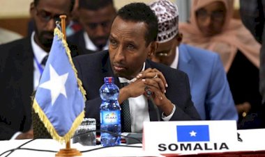 Somali, Gine ile diplomatik ilişkisini kesti