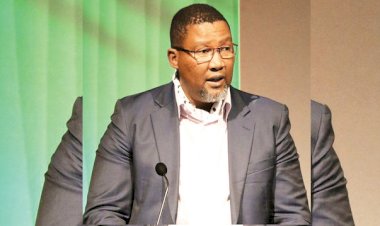 Mandela: İsrail rejimi 'apartheid'