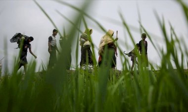 BM'den Myanmar hükümetine 'Arakanlı Müslümanlar' çağrısı