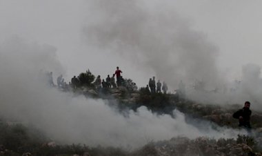 Batı Şeria'da Yahudiler Filistinliler'e ait zeytinlikleri yaktı