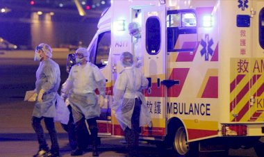 Myanmar'da domuz gribi salgını