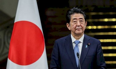 Japonya'da Senato seçimlerini Abe kazandı