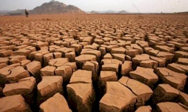 Küresel ısınma emsalsiz boyutta