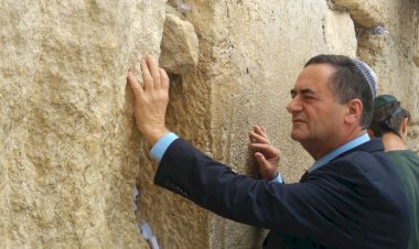 'Ne biz Erdoğan'ı seviyoruz, ne de o bizi; onu Körfez ülkeleri de sevmiyor'