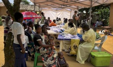 Ebola 500 çocuğun hayatına mal oldu