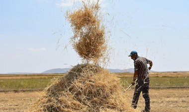 Dünyayı kurtarmak için gıda üretimini değiştirmek zorundayız