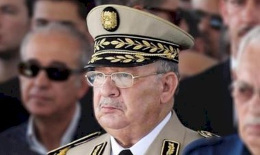 'Ordunun herhangi bir siyasi talebi yok'