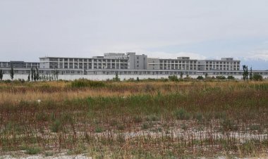 'Çin, verdiği iğnelerle bizi kısırlaştırdı'