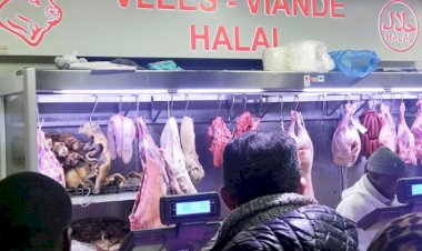 Aşağı Saksonya'da 'helal kesim' tartışması