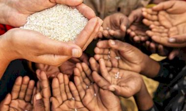 Dünyada yaklaşık 132 milyon kişi yardıma muhtaç