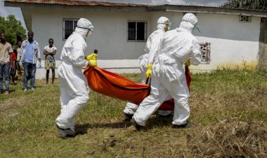 Fildişi Sahili'nde tanı konulamayan hastalık 30 can aldı