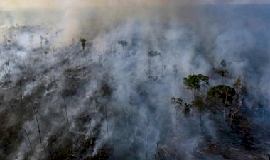 G7 liderlerinden Amazonlar'a 20 milyon euro yardım