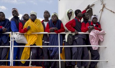 Akdeniz'de STK'ler hem kurtarıyor hem güvenli liman bekliyor