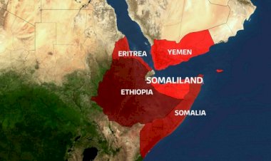 Somaliland Berbera Havalimanı’nı BAE’ye vermeyecek