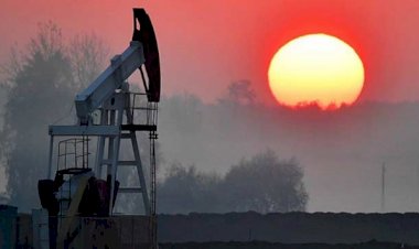 Suudi Arabistan petrol üretimini geçici olarak durdurdu