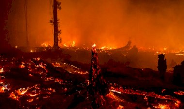 Endonezya'da orman yangınları uçak seferlerini de durdurdu
