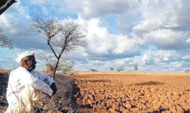 BM: En sıcak 5 yıllık dönemi yaşıyoruz