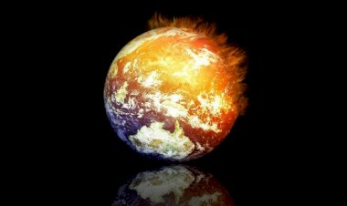 Kuzey Yarımküre'de yazın yüzlerce sıcaklık rekoru kırıldı