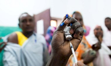 Nijerya'da sarı humma salgınında ölü sayısı 22'ye yükseldi