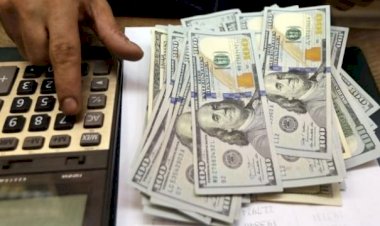 Arjantin'de dolar satın alımına yeni kısıtlama