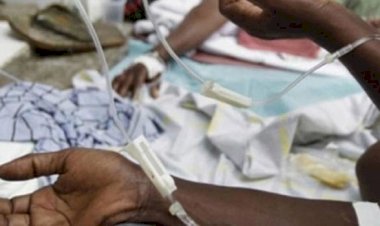 Nijerya'da sarı humma salgınında 115 kişi öldü