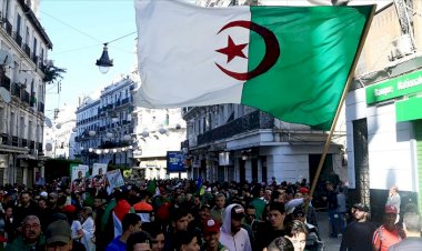 Cezayir'de cumhurbaşkanlığı seçimi adayları açıklandı