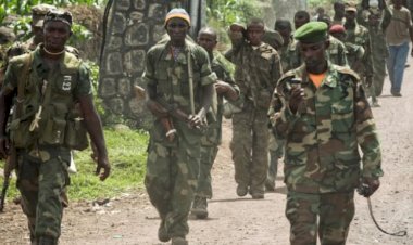 Kongo'da ordudan silahlı gruplara yönelik operasyon