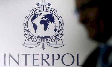 Türkiye’den Almanya’ya bin 252 Interpol kararı