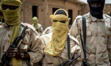 Nijerya'da silahlı gruplar arasında barış akdi imzalandı