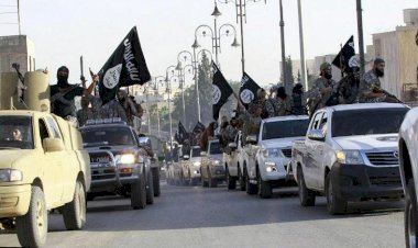 IŞİD savaş bakanının yardımcısı Şişani Ukrayna'da yakalandı