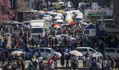 Zimbabve'de nüfusun yarısı gıda güvenliği kriziyle karşı karşıya