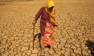 'İklim değişikliği 21'inci yüzyılda en büyük sağlık tehdidi olabilir'