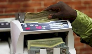 Yoksullukla boğuşan Nijerya'da zenginler 'vergi cennetlerine' 400 milyar dolar kaçırdı