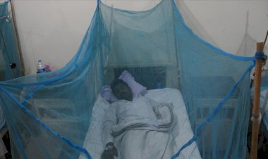 Bangladeş'teki dang humması salgınında vaka sayısı 101 bini aştı