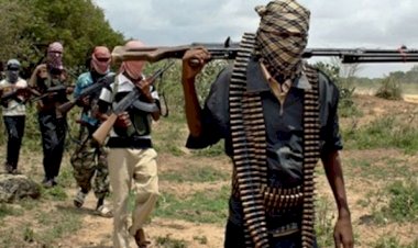 Boko Haram, Nijerya'da 11 sivili kaçırdı