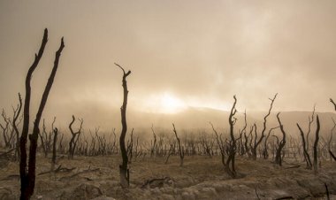 Gelecek 10 yılın en büyük küresel riski: İklim değişikliği