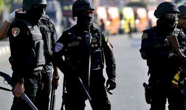 Mısır polisinden AA Kahire ofisine baskın