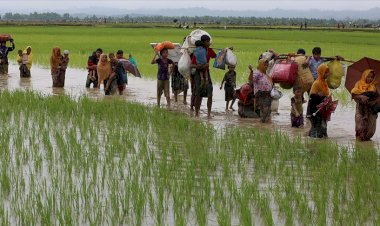İnsan hakları örgütü Fortify Rights: Myanmar, Arakanlı Müslümanların haklarını inkara devam ediyor