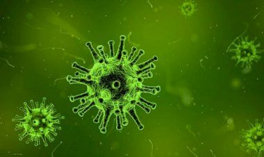 Çin'de gizemli virüs can alıyor