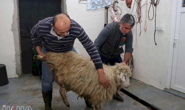 Avrupa Yetim Eli '2020 Balkanlar Kış Yardımı' çalışmalarını kurban keserek sona erdirdi