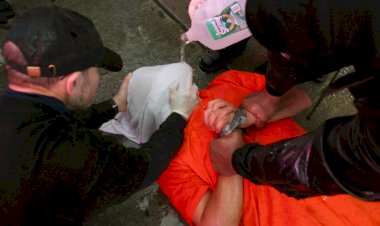 'İşkence satarak' 81 milyon dolar kazandılar