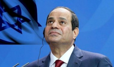 Almanya'da darbeci Sisi'ye verilecek ödül tartışılıyor