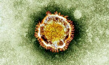 Koronavirüs 2003'te ABD'de mi geliştirildi?