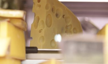 İsrailli insan hakları kuruluşu: Trump'ın planı İsviçre peynirine benziyor, dolu kısmı İsrail'e, boşluklar Filistin'e