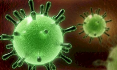 Genleri bilinenden farklı bir virüs keşfedildi